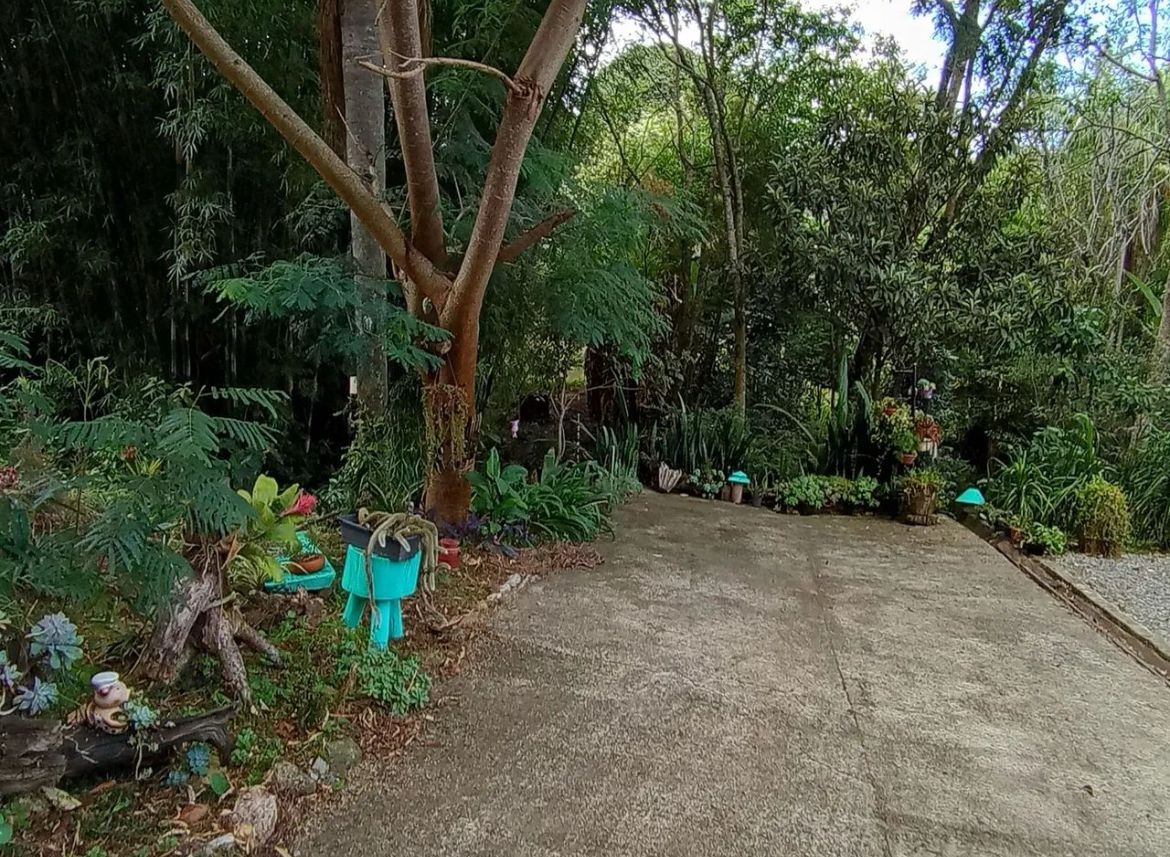 Chácara, 2 quartos, 3200 m² - Foto 19