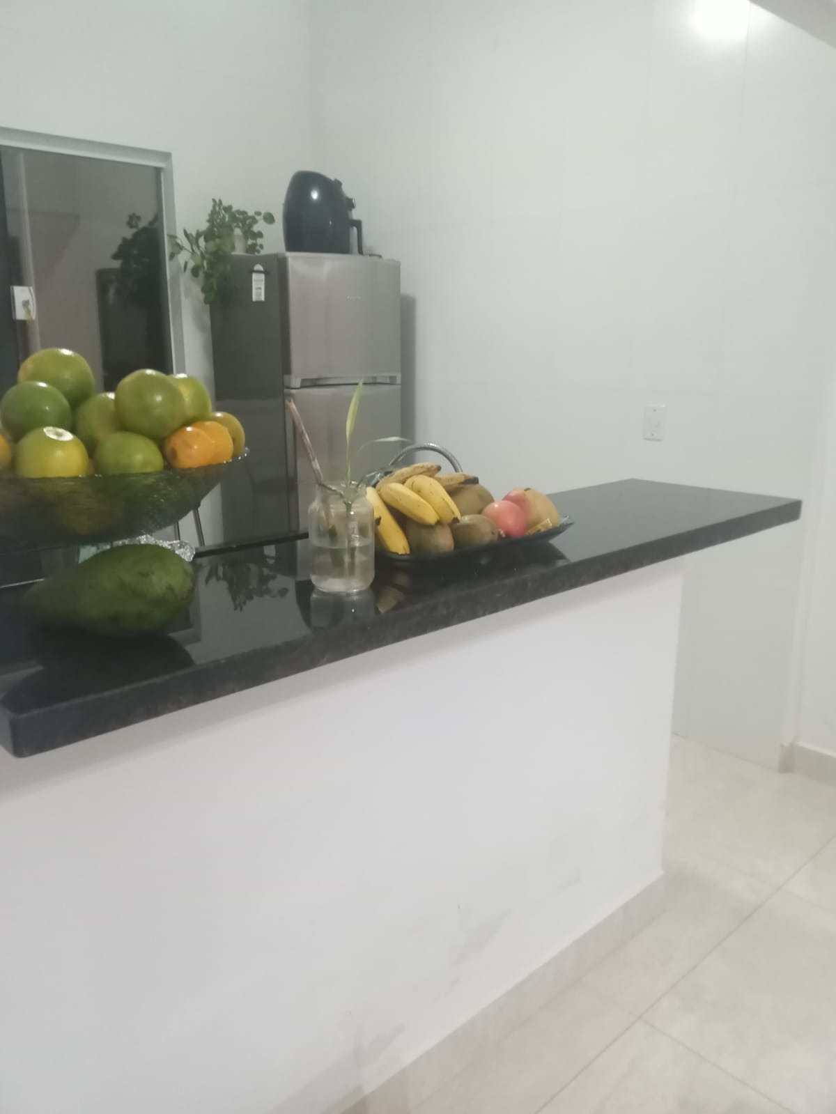 Chácara, 4 quartos, 1000 m² - Foto 5