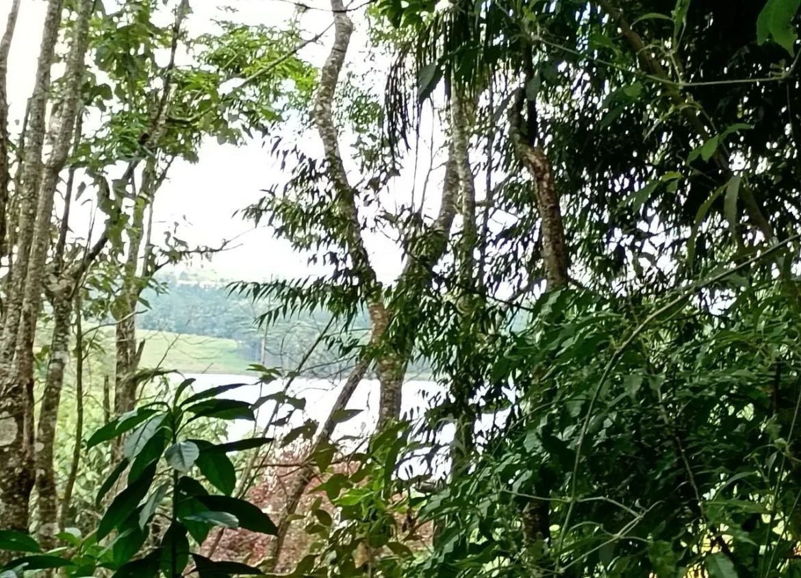 Chácara, 2 quartos, 3200 m² - Foto 18