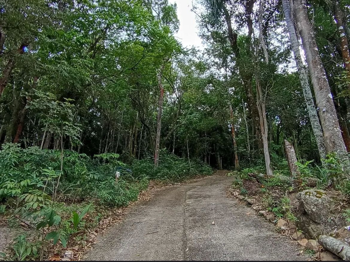 Chácara, 2 quartos, 3200 m² - Foto 20