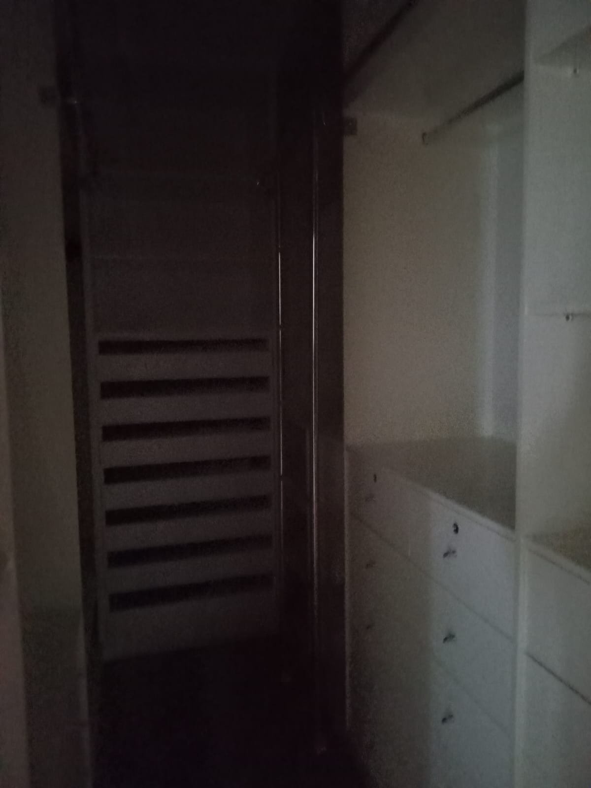 Casa, 4 quartos, 360 m² - Foto 49