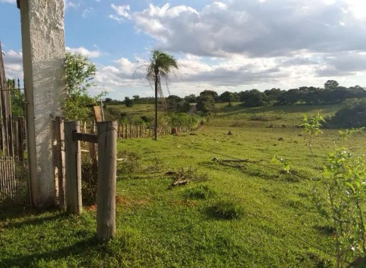Terreno, 28 hectares - Foto 7