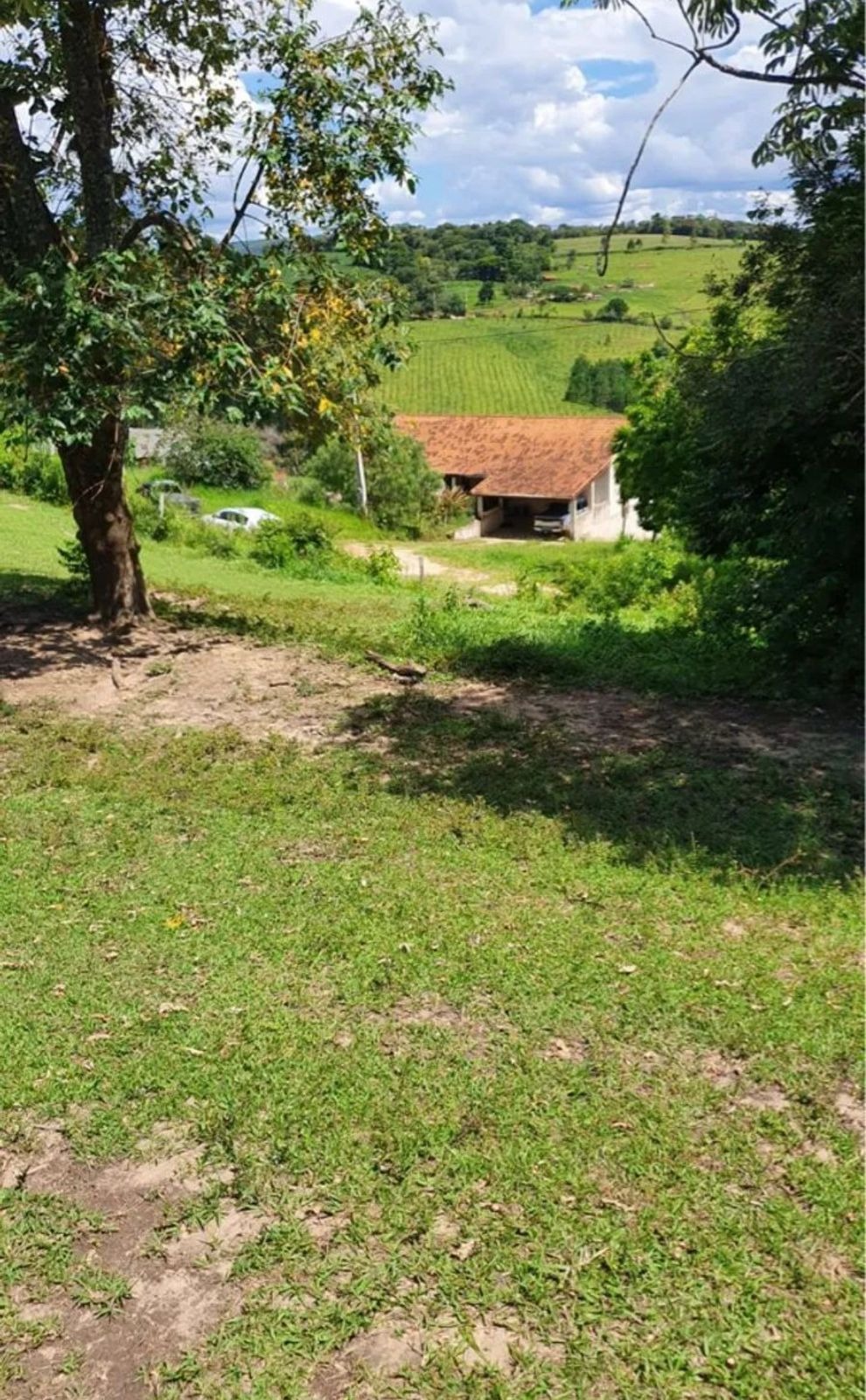 Sítio, 4 quartos, 3600 m² - Foto 3