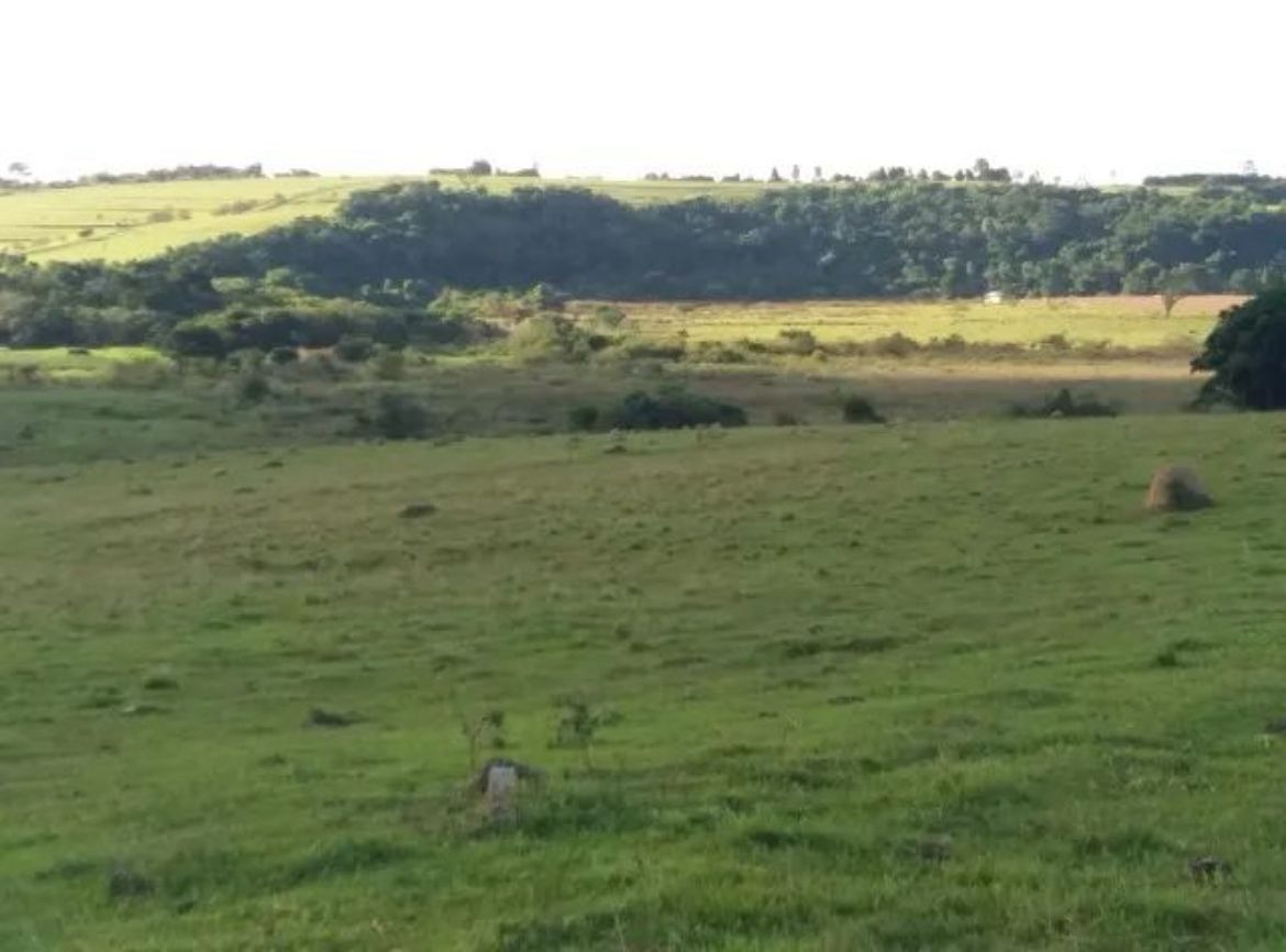Terreno, 28 hectares - Foto 12