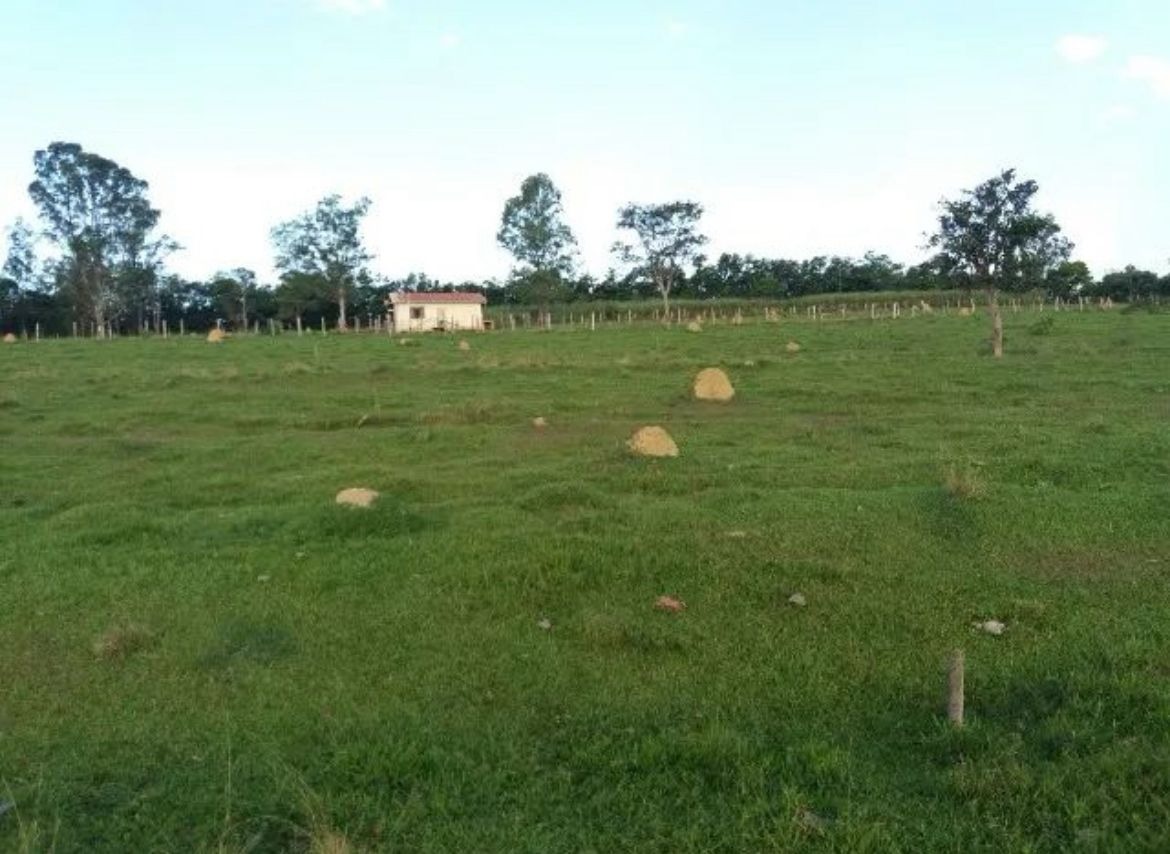 Terreno, 28 hectares - Foto 6