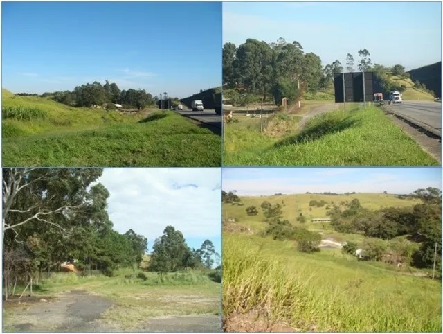 Terreno, 21 hectares - Foto 4