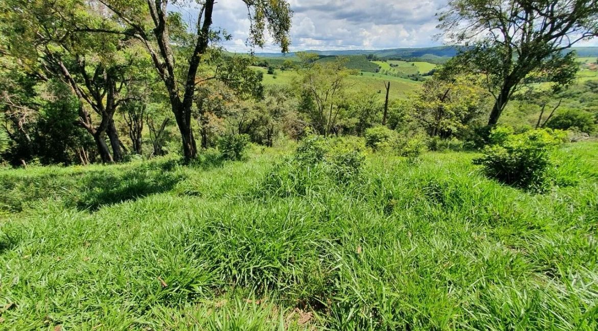 Sítio, 4 quartos, 3600 m² - Foto 9
