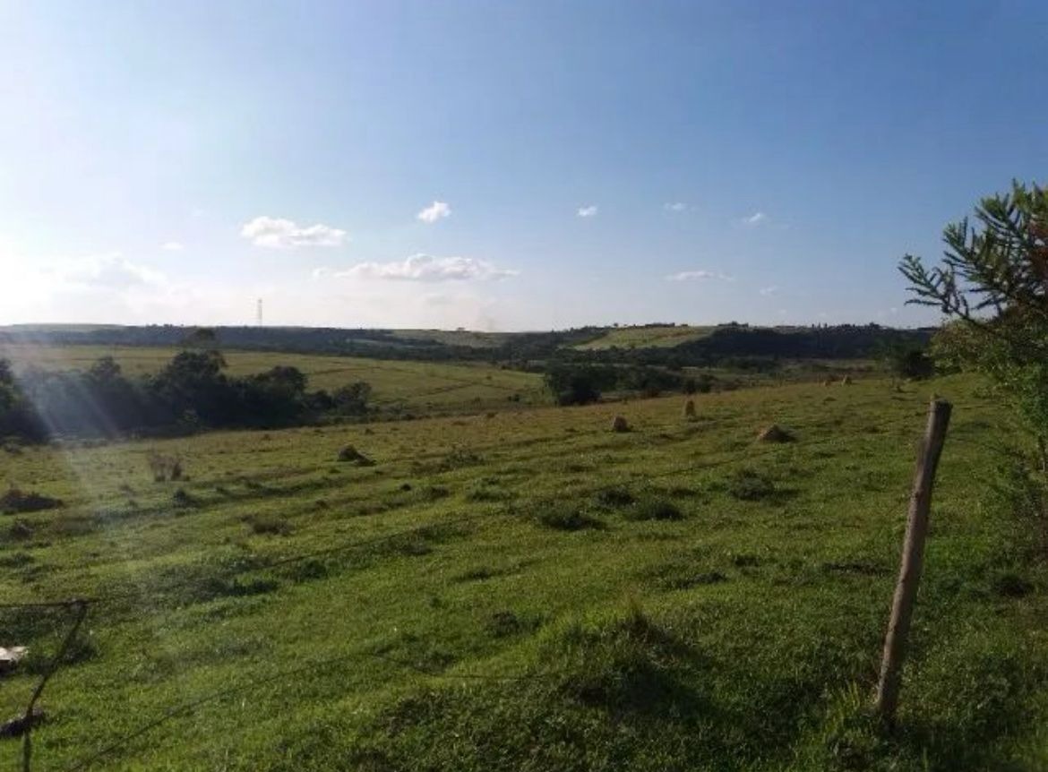 Terreno, 28 hectares - Foto 11