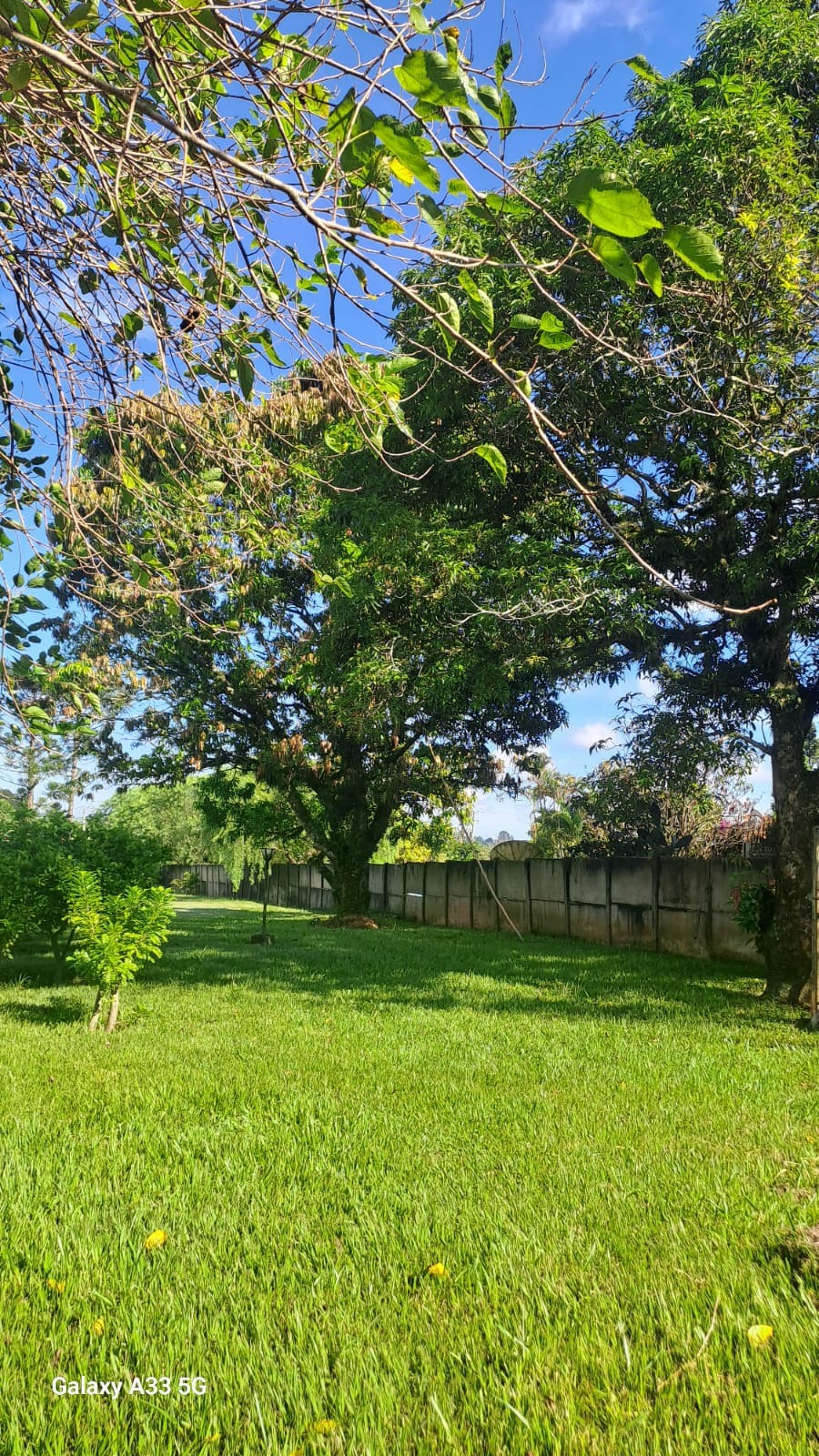 Chácara, 4 quartos, 5000 m² - Foto 22