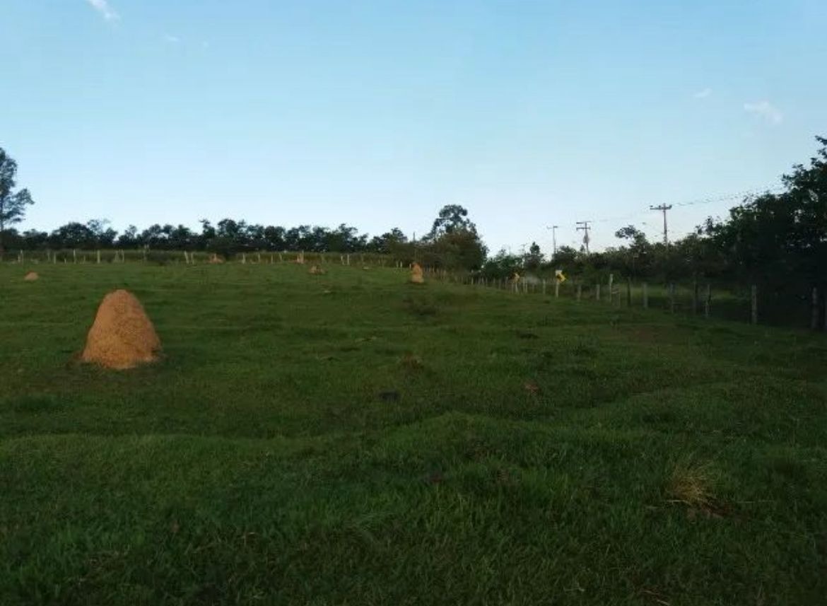 Terreno, 28 hectares - Foto 5