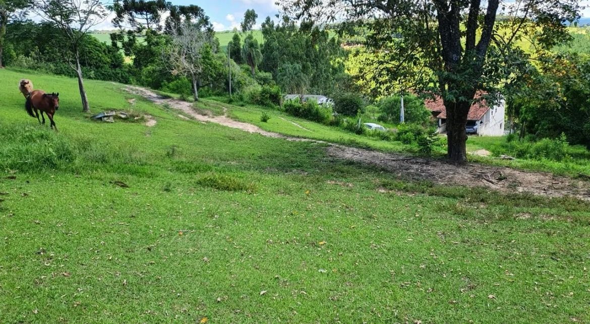 Sítio, 4 quartos, 3600 m² - Foto 8