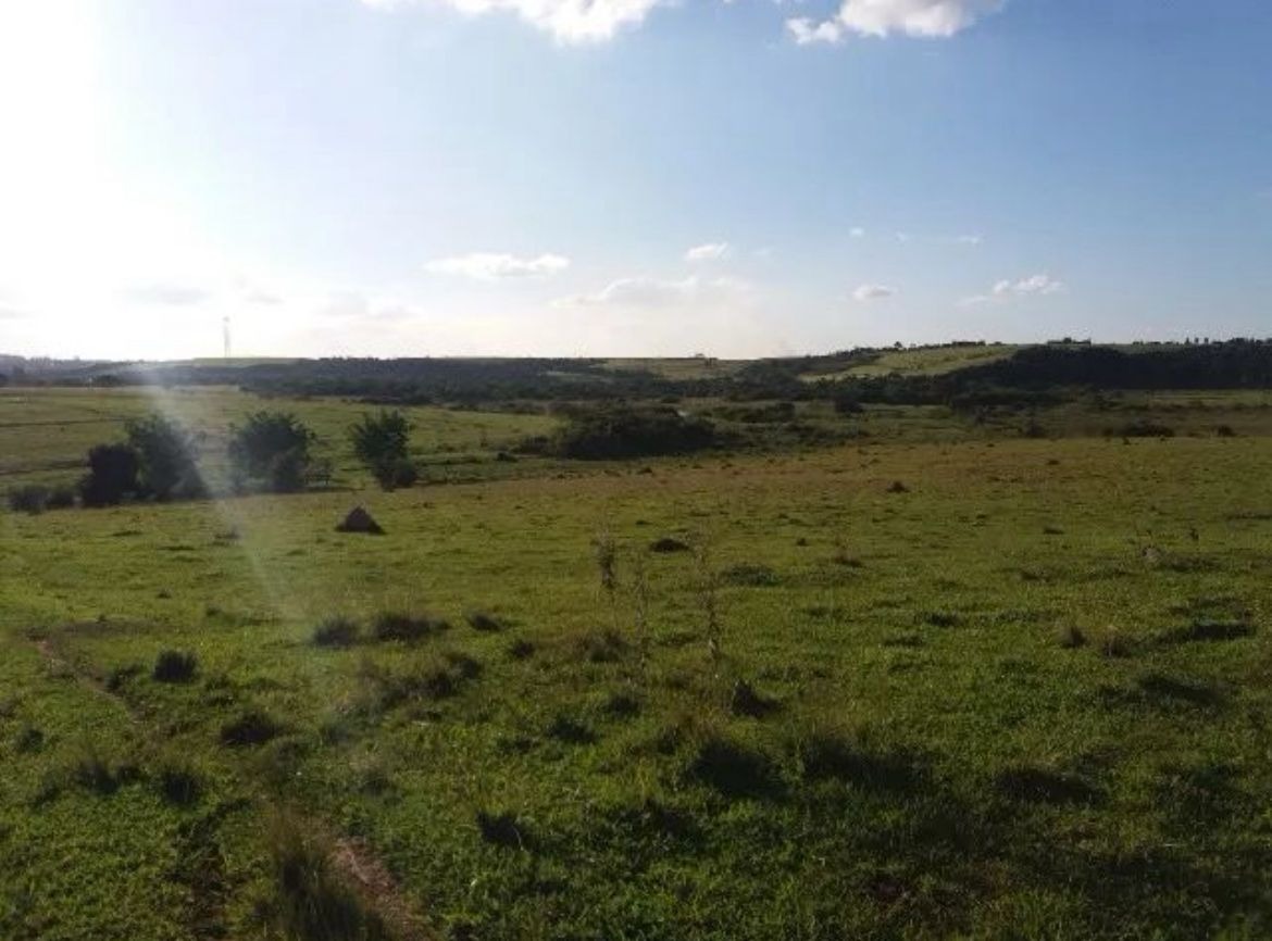 Terreno, 28 hectares - Foto 10