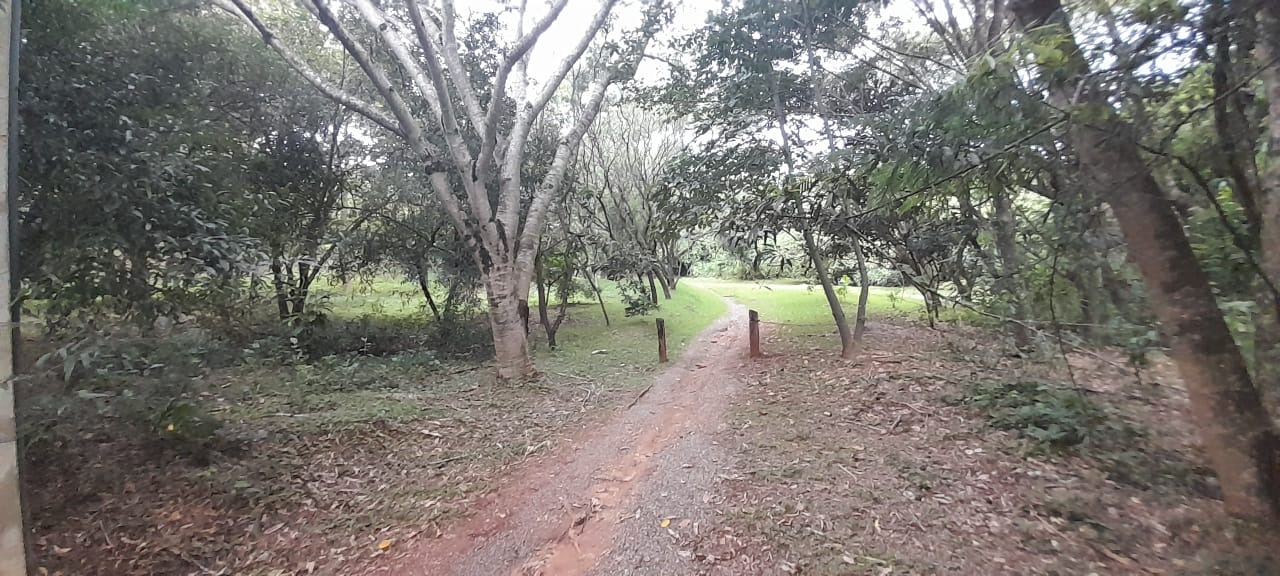 Casa, 3 quartos - Foto 40