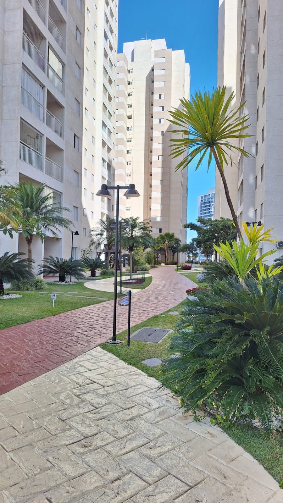 Apartamento, 3 quartos, 80 m² - Foto 17