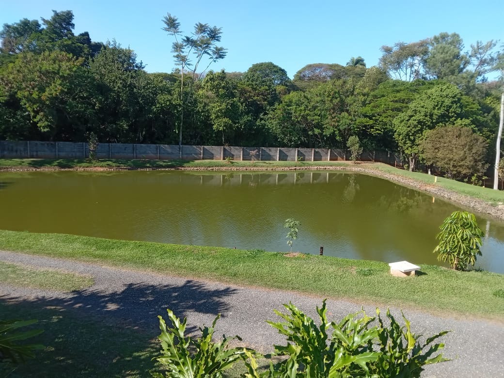 Sítio, 34 quartos, 1 hectares - Foto 25