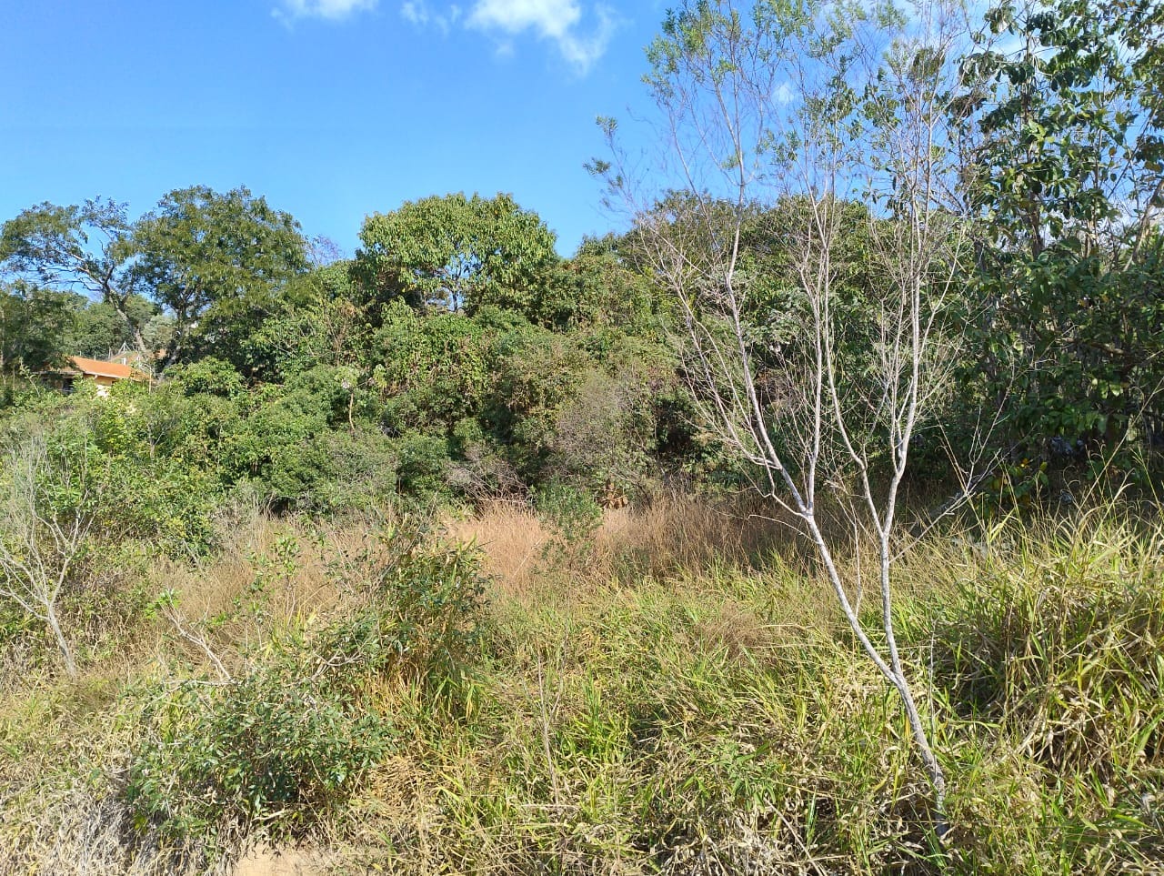 Terreno, 1000 m² - Foto 2