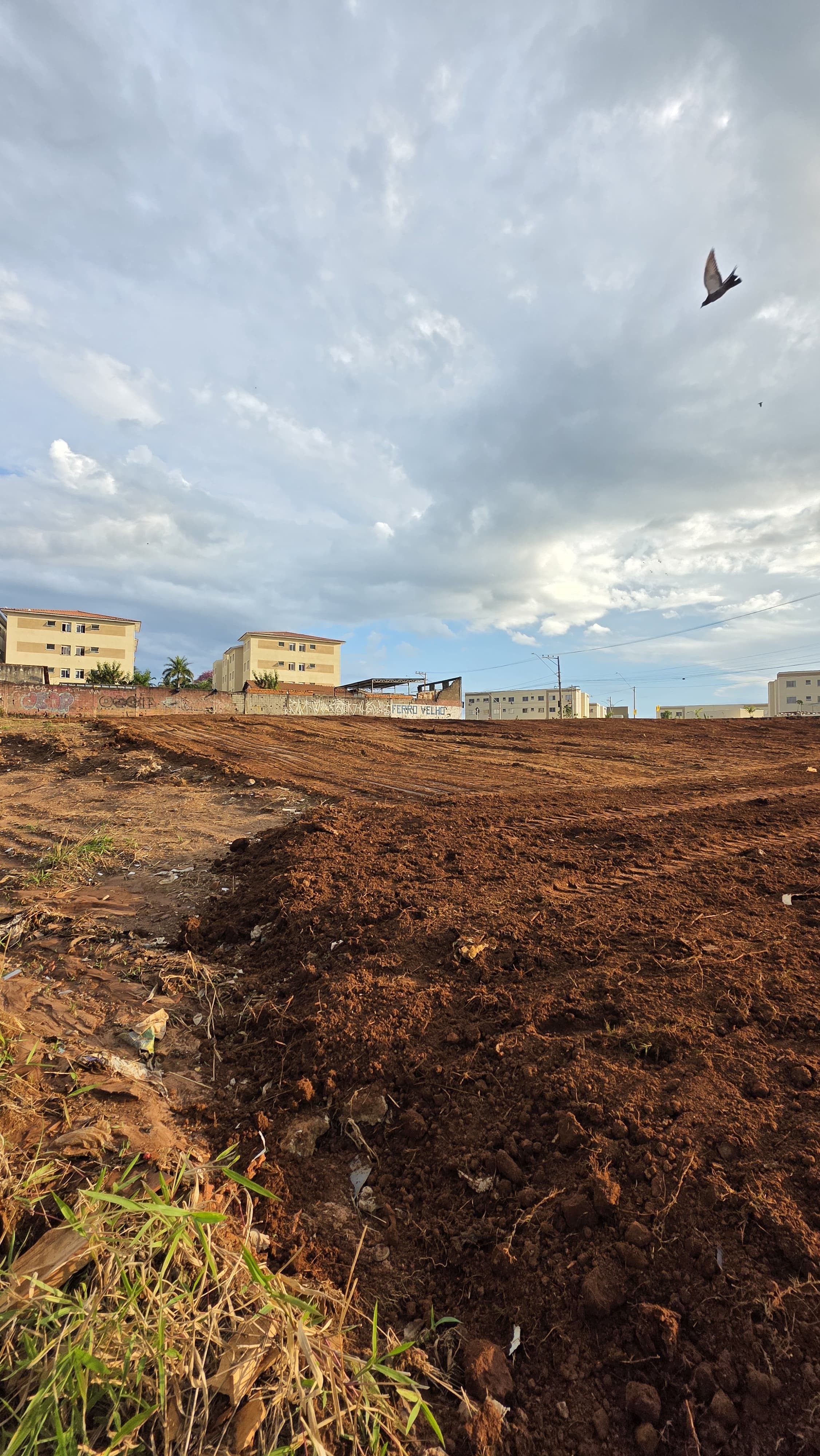 Terreno, 3054 m² - Foto 4