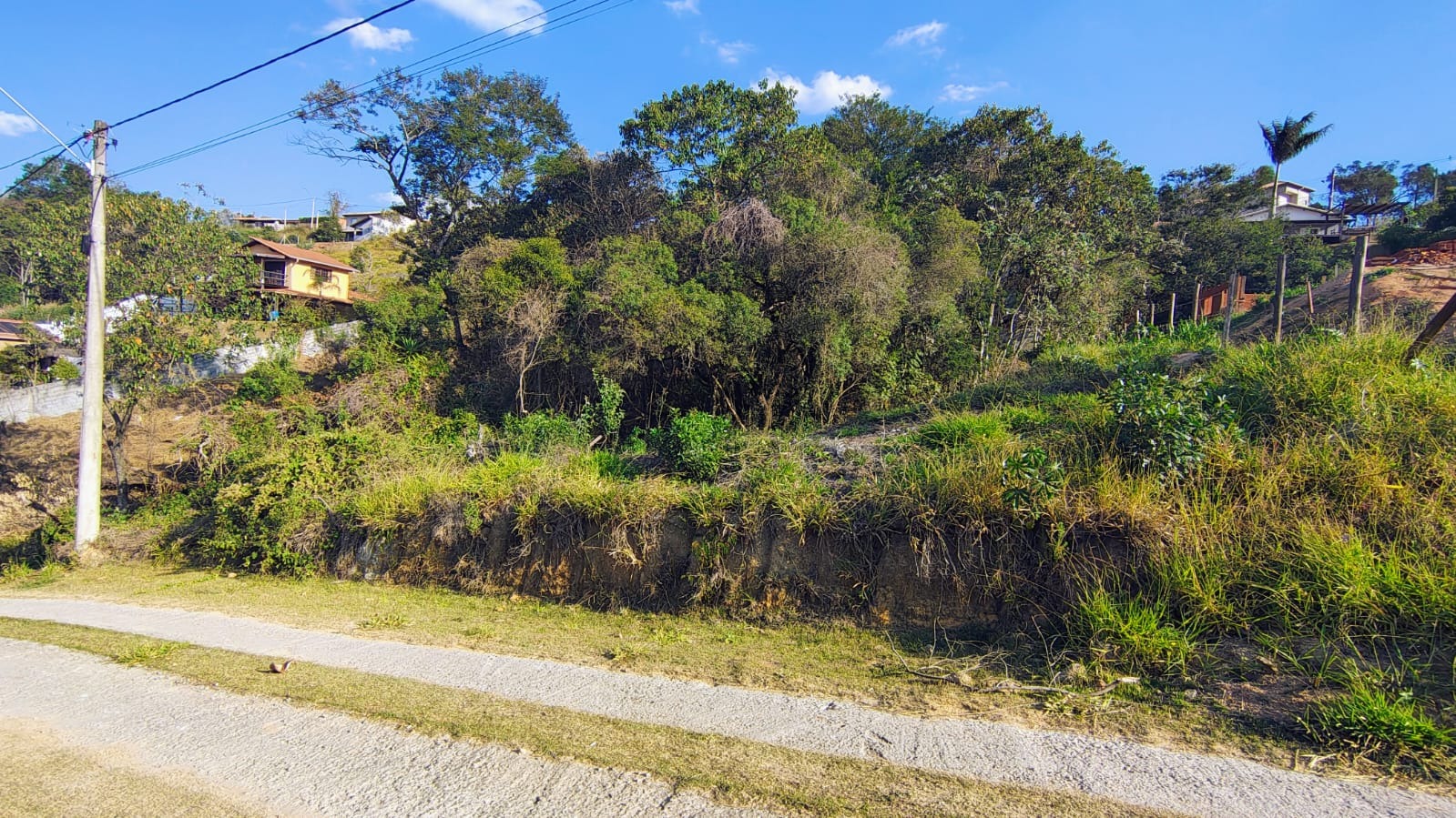 Terreno, 1000 m² - Foto 5