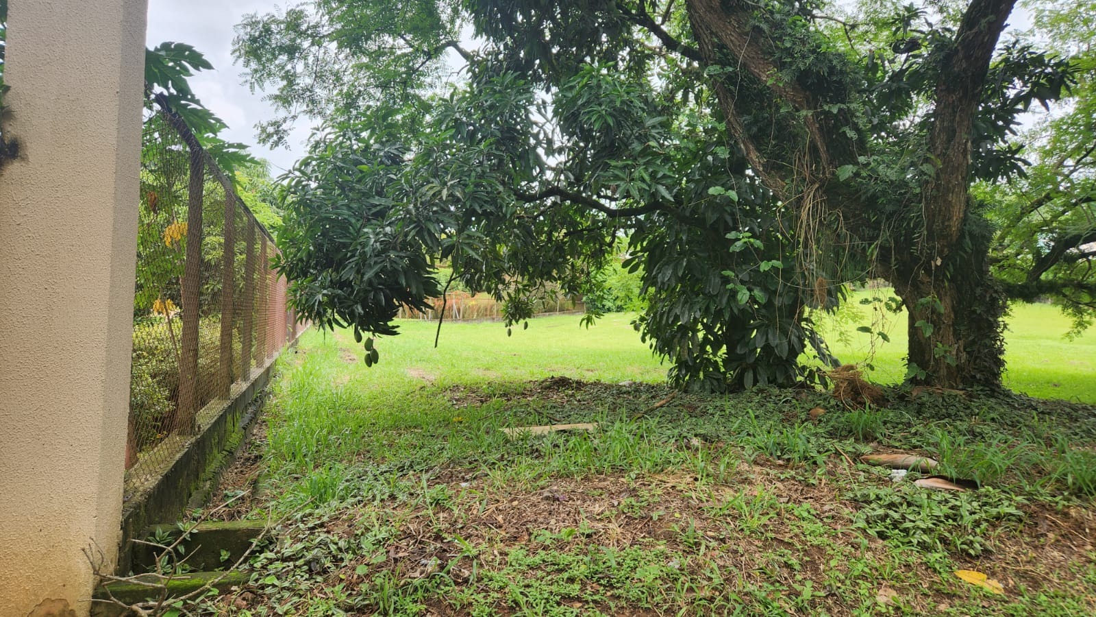 Terreno, 3070 m² - Foto 3