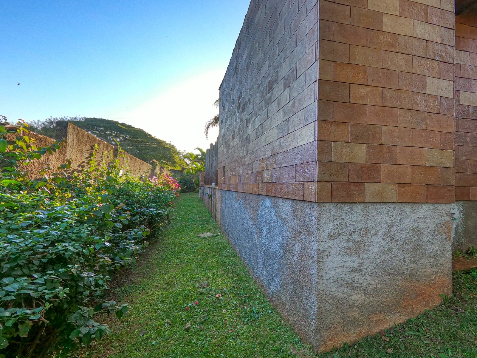 Casa, 3 quartos - Foto 47