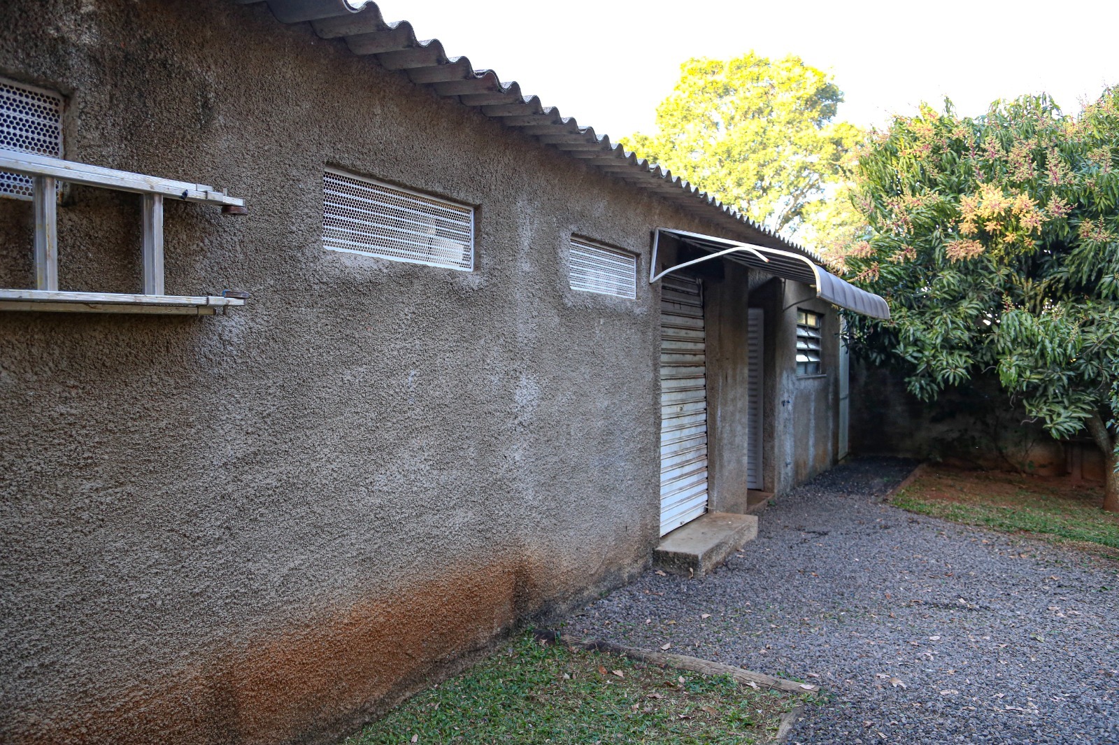 Casa, 3 quartos - Foto 49