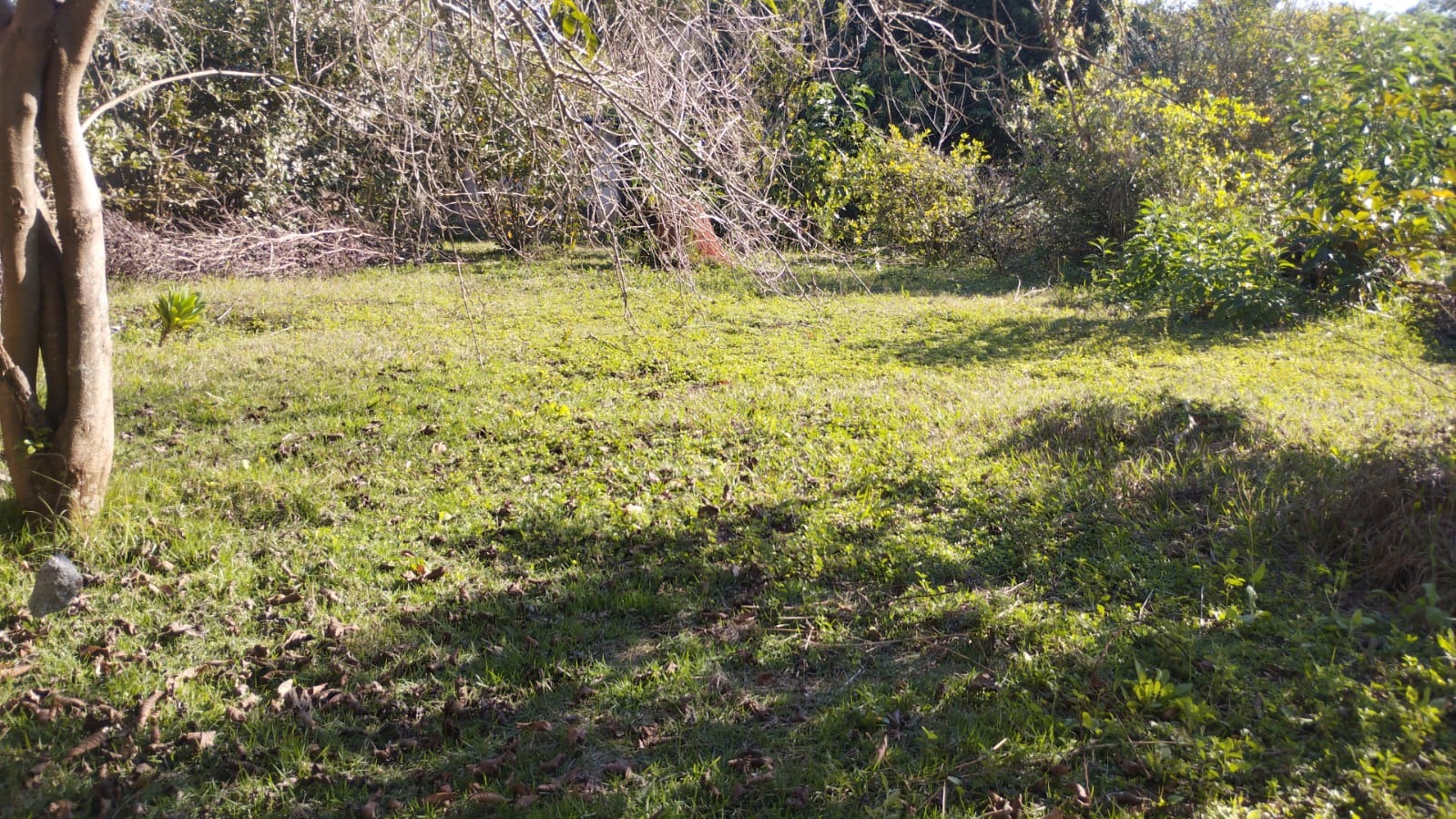 Terreno, 1000 m² - Foto 2