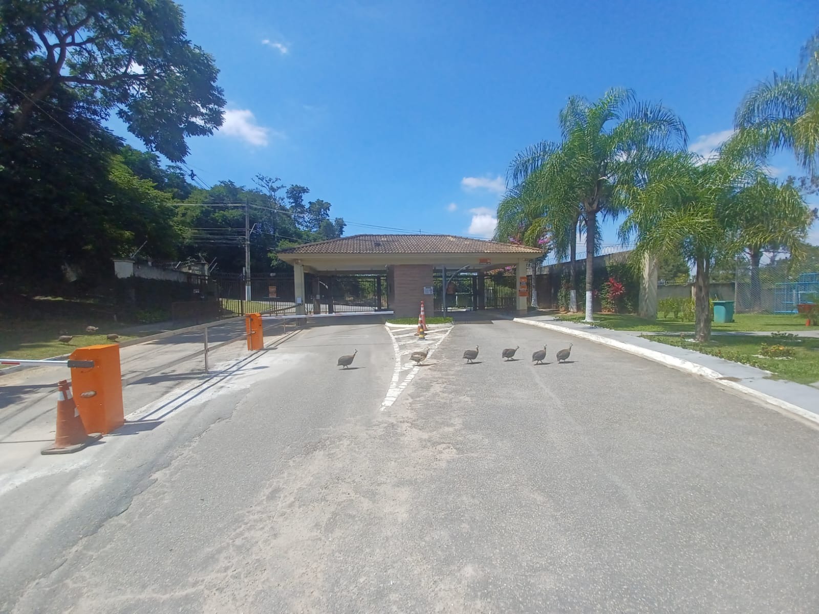 Terreno, 1000 m² - Foto 3