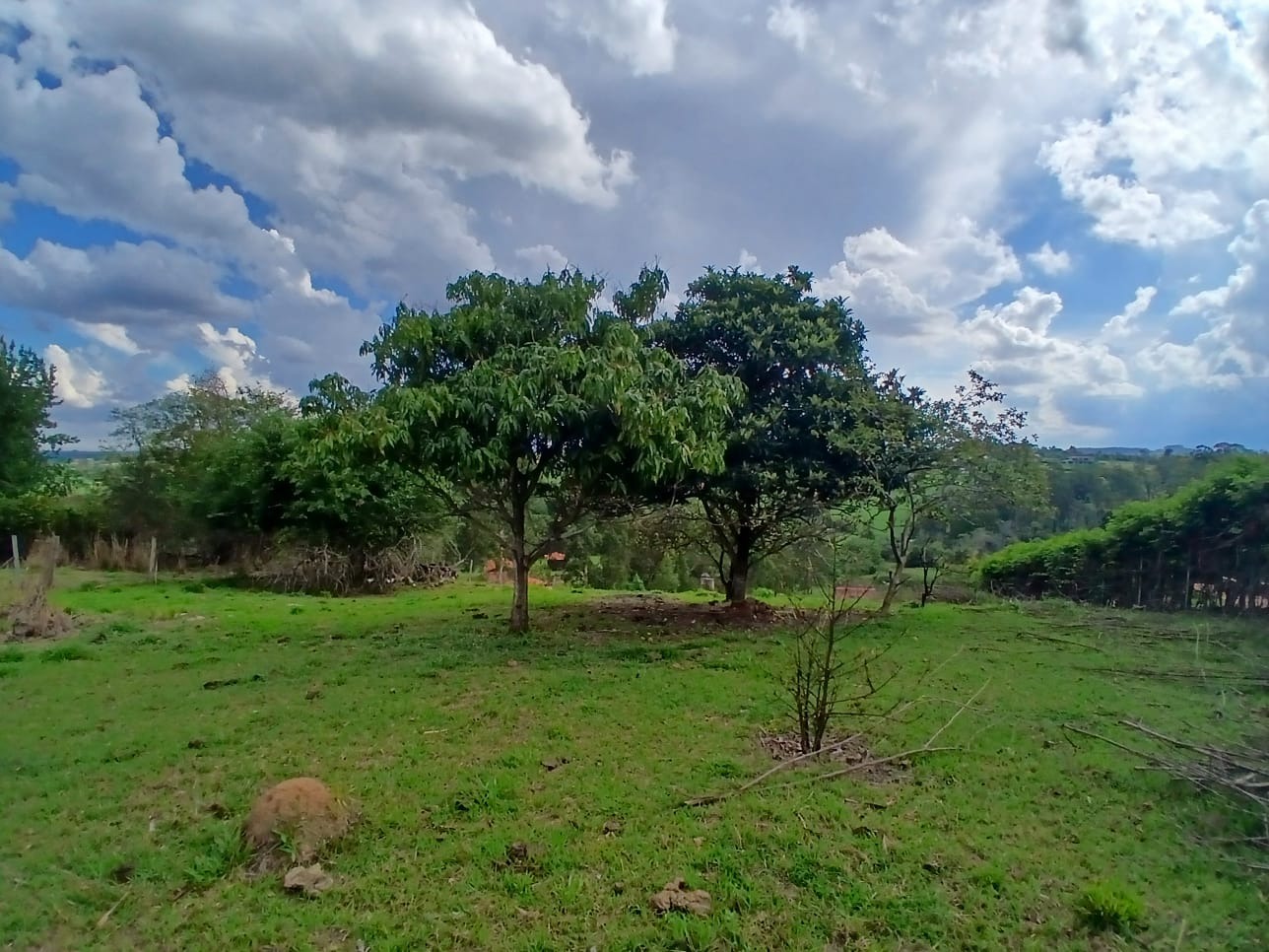 Terreno, 3700 m² - Foto 12