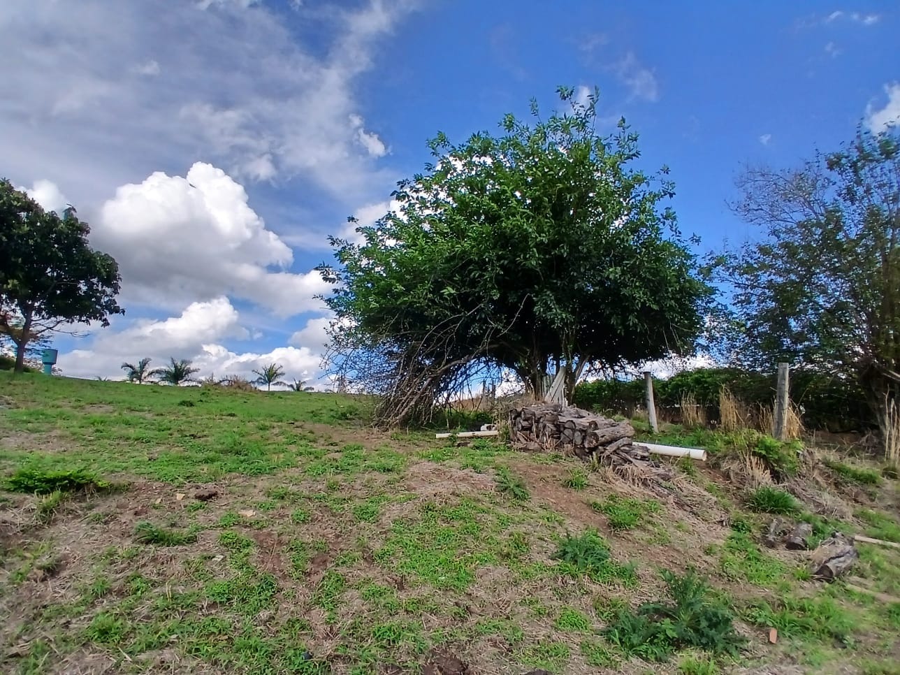 Terreno, 3700 m² - Foto 1