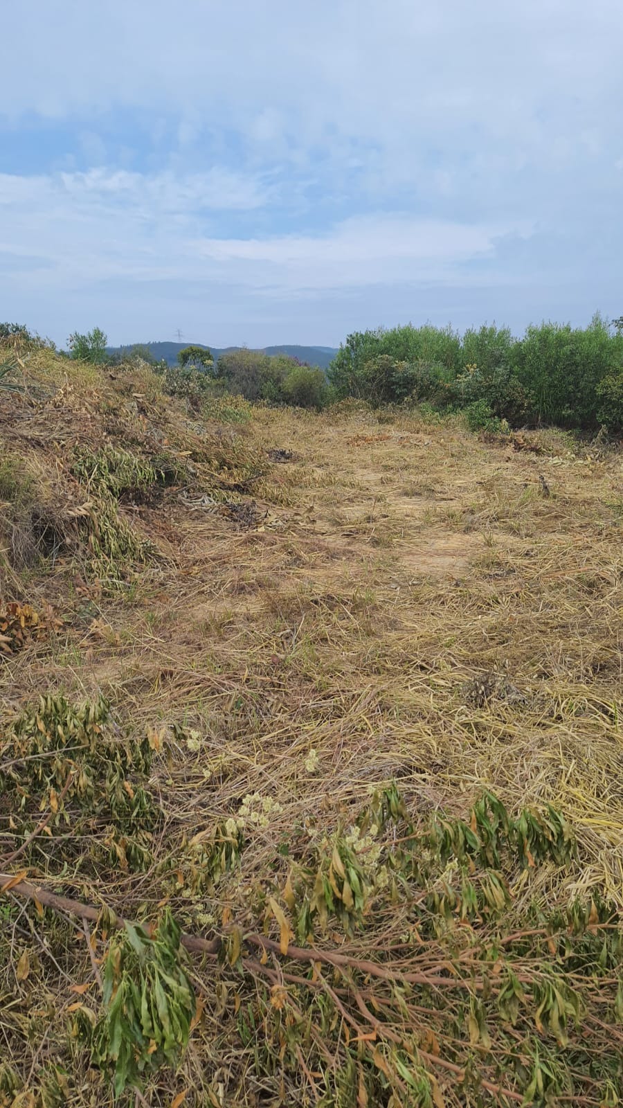 Terreno - Foto 4