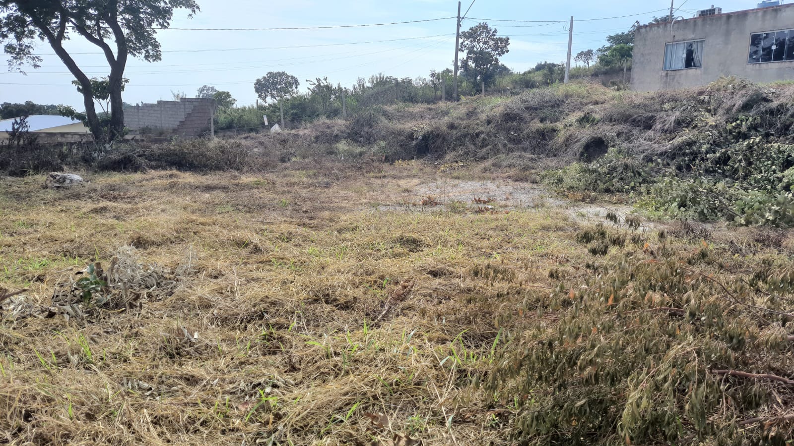 Terreno - Foto 3