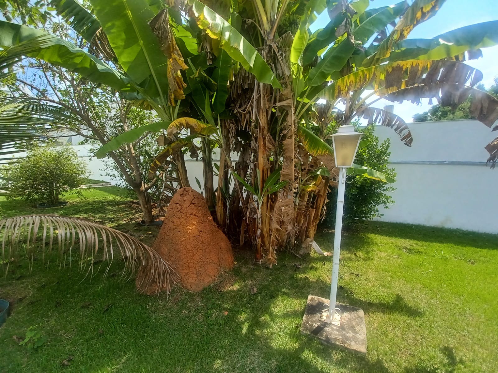 Casa, 3 quartos, 260 m² - Foto 15