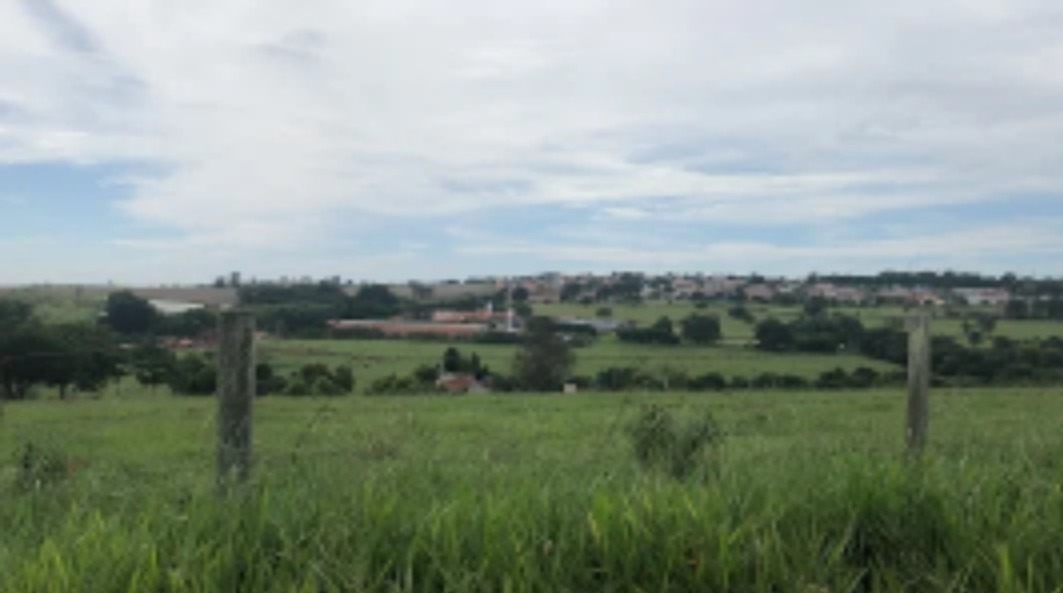 Terreno - Foto 6