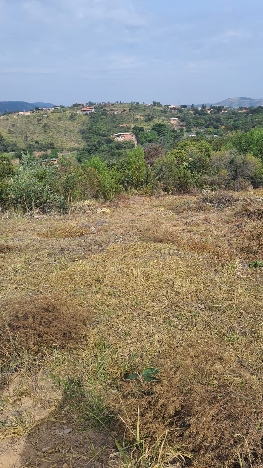 Terreno - Foto 9