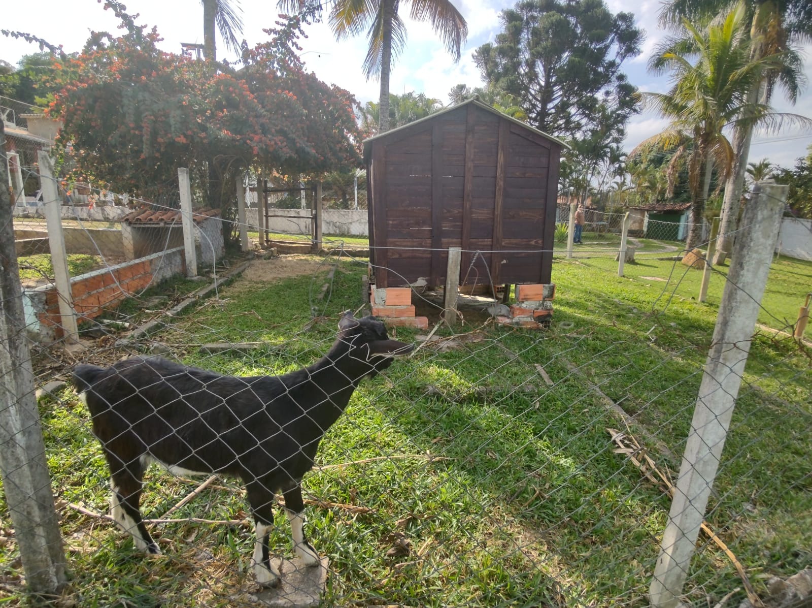 Chácara, 3 quartos - Foto 30