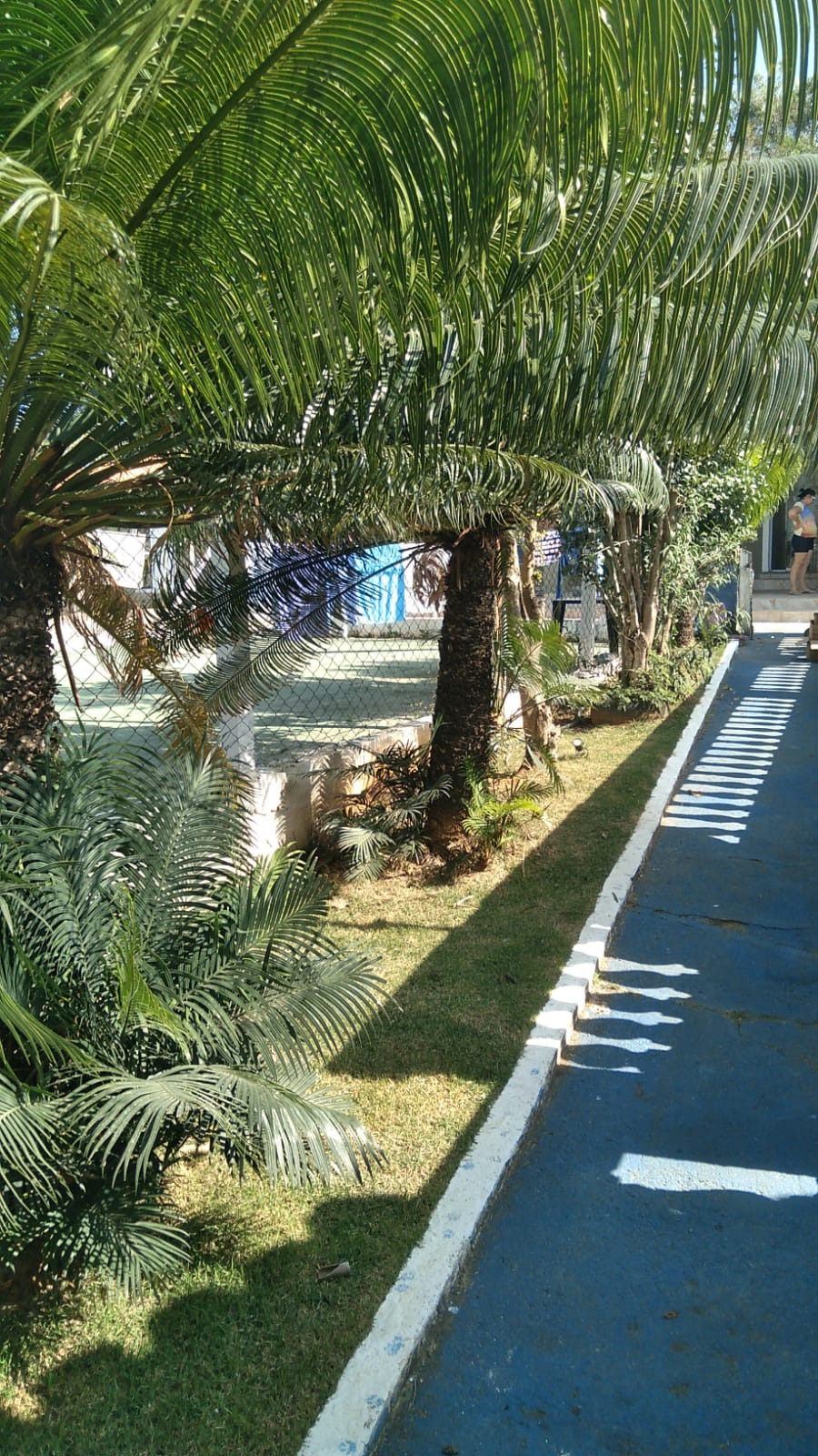 Chácara, 3 quartos - Foto 4