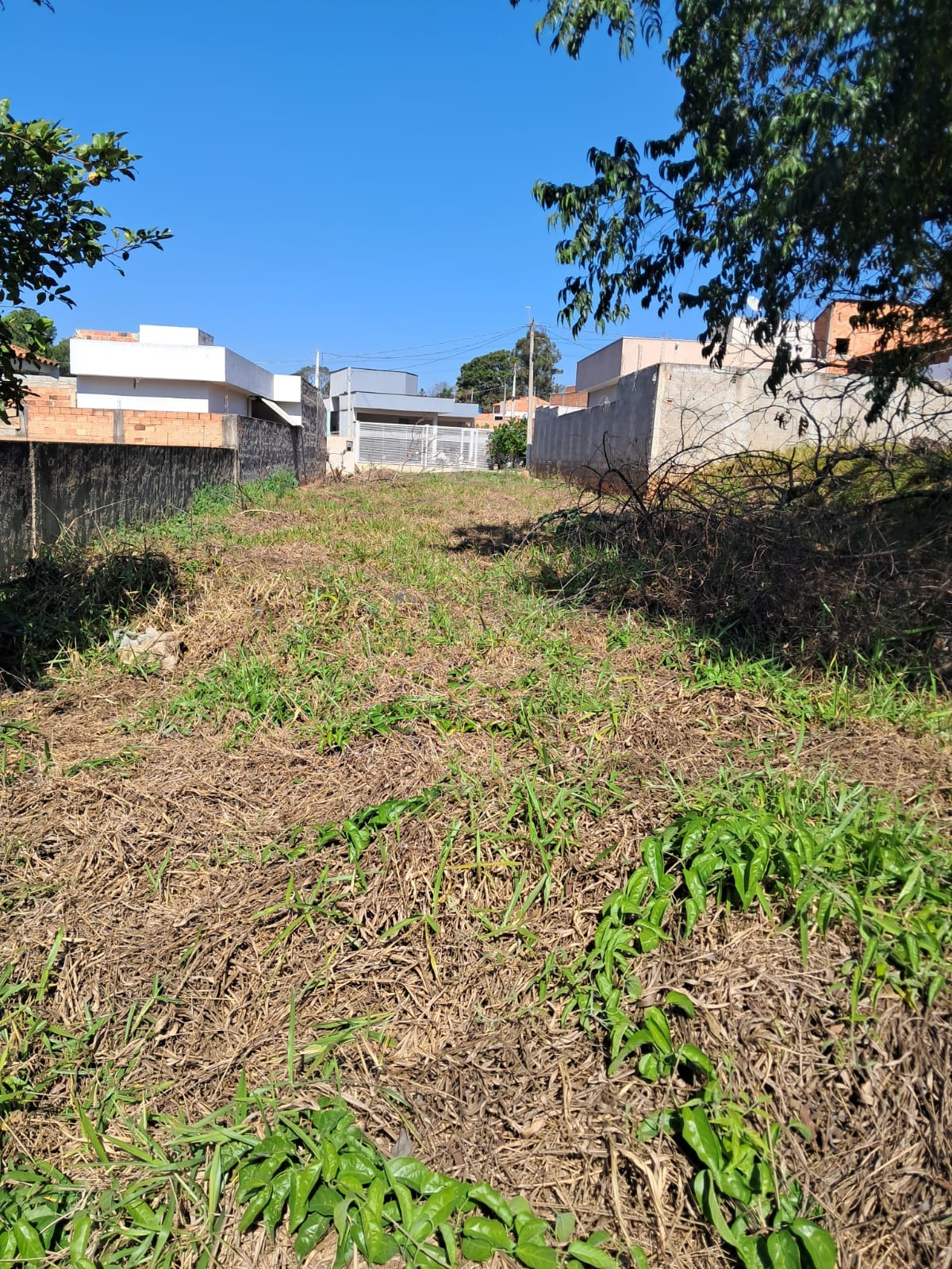 Terreno, 250 m² - Foto 2