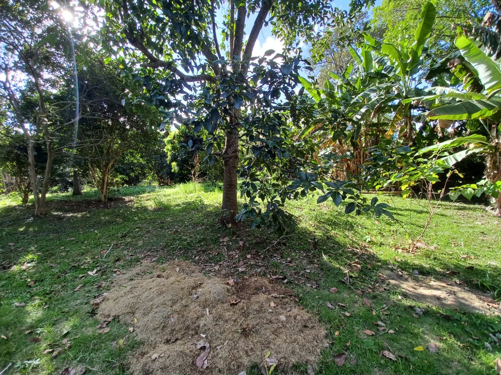 Casa, 3 quartos, 260 m² - Foto 22