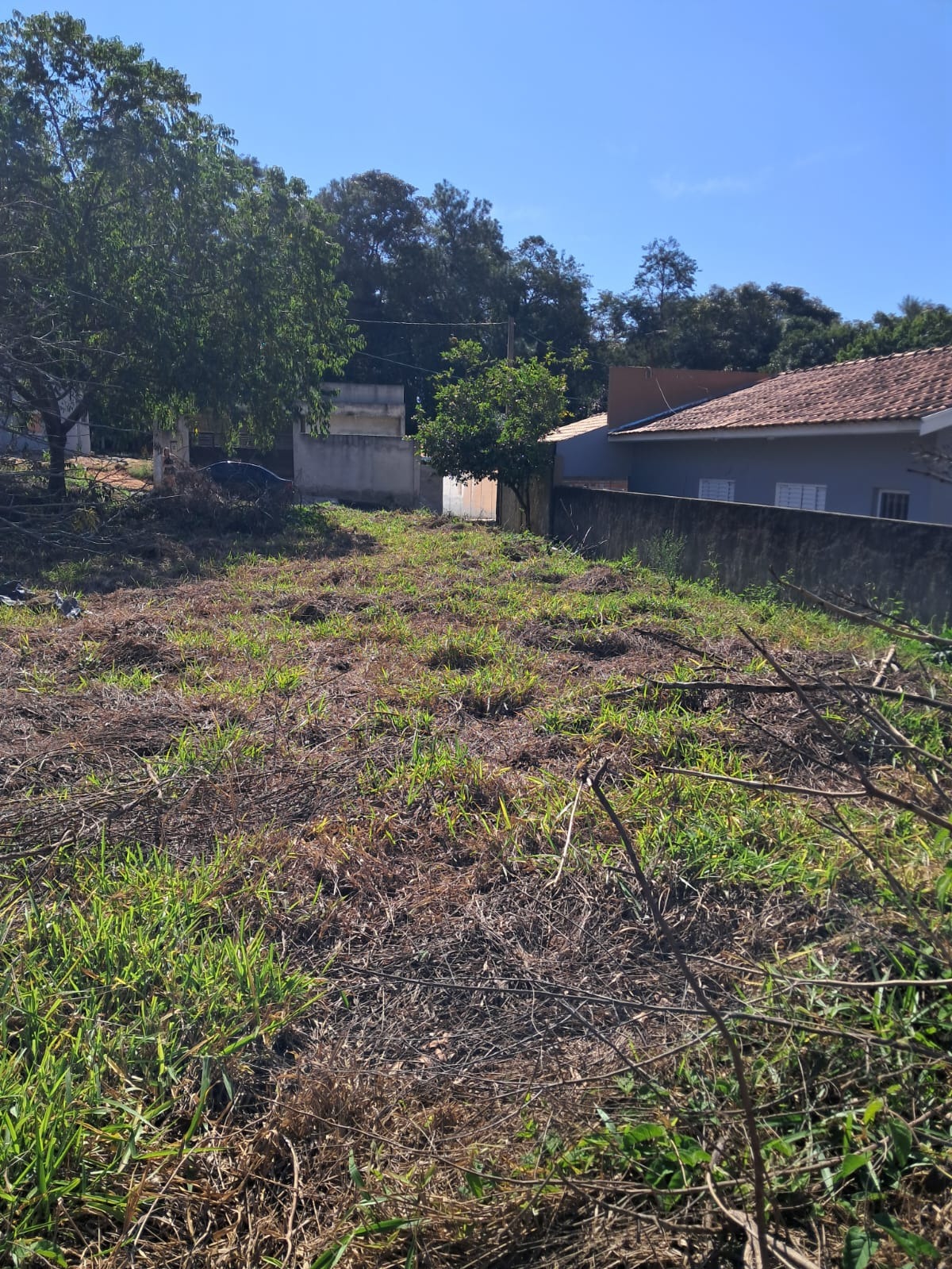 Terreno, 250 m² - Foto 6