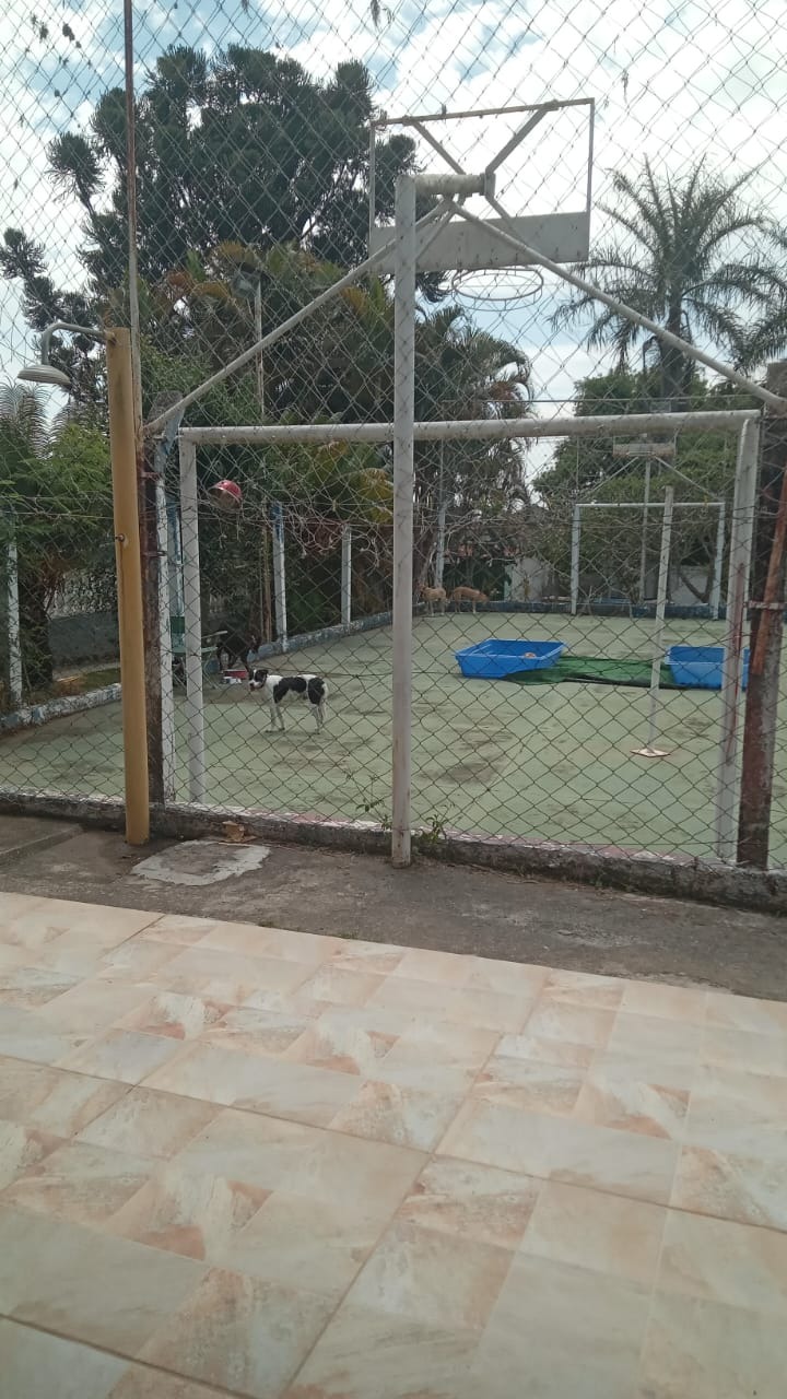Chácara, 3 quartos - Foto 34