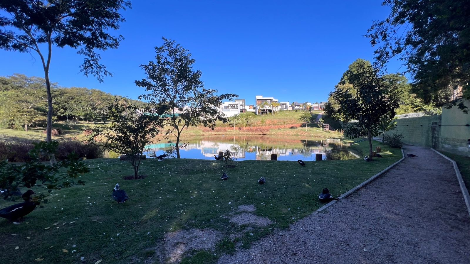 Terreno, 250 m² - Foto 18