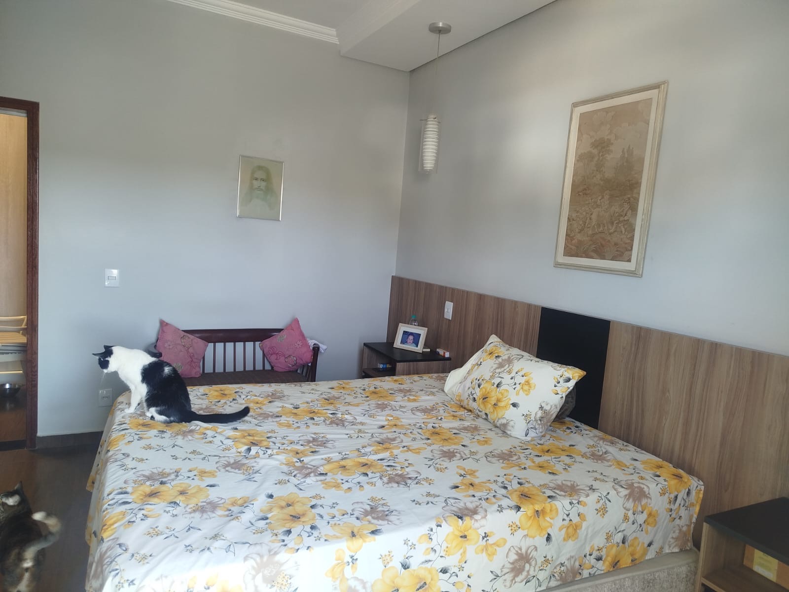 Casa, 3 quartos - Foto 23