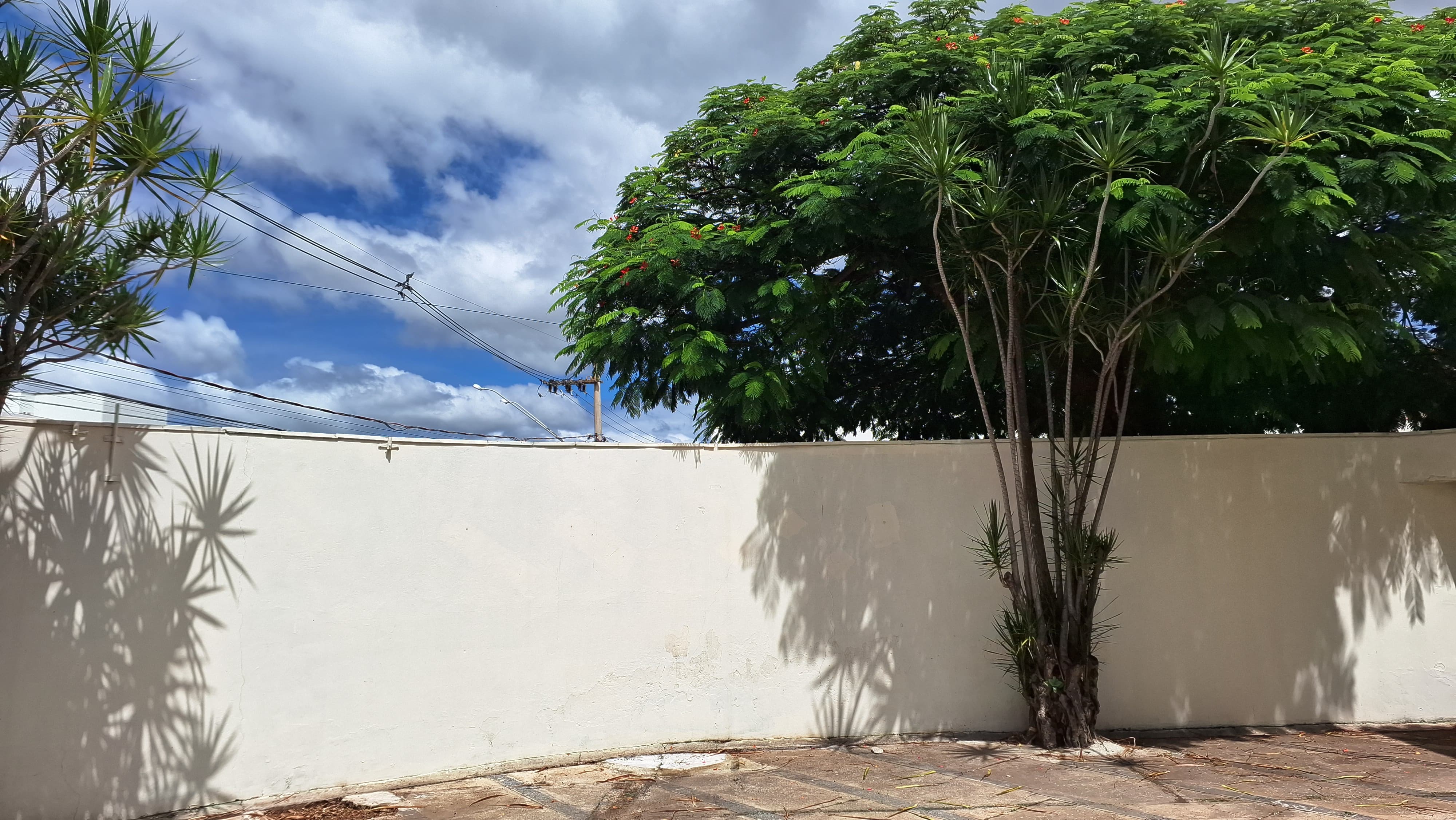 Casa, 3 quartos - Foto 18