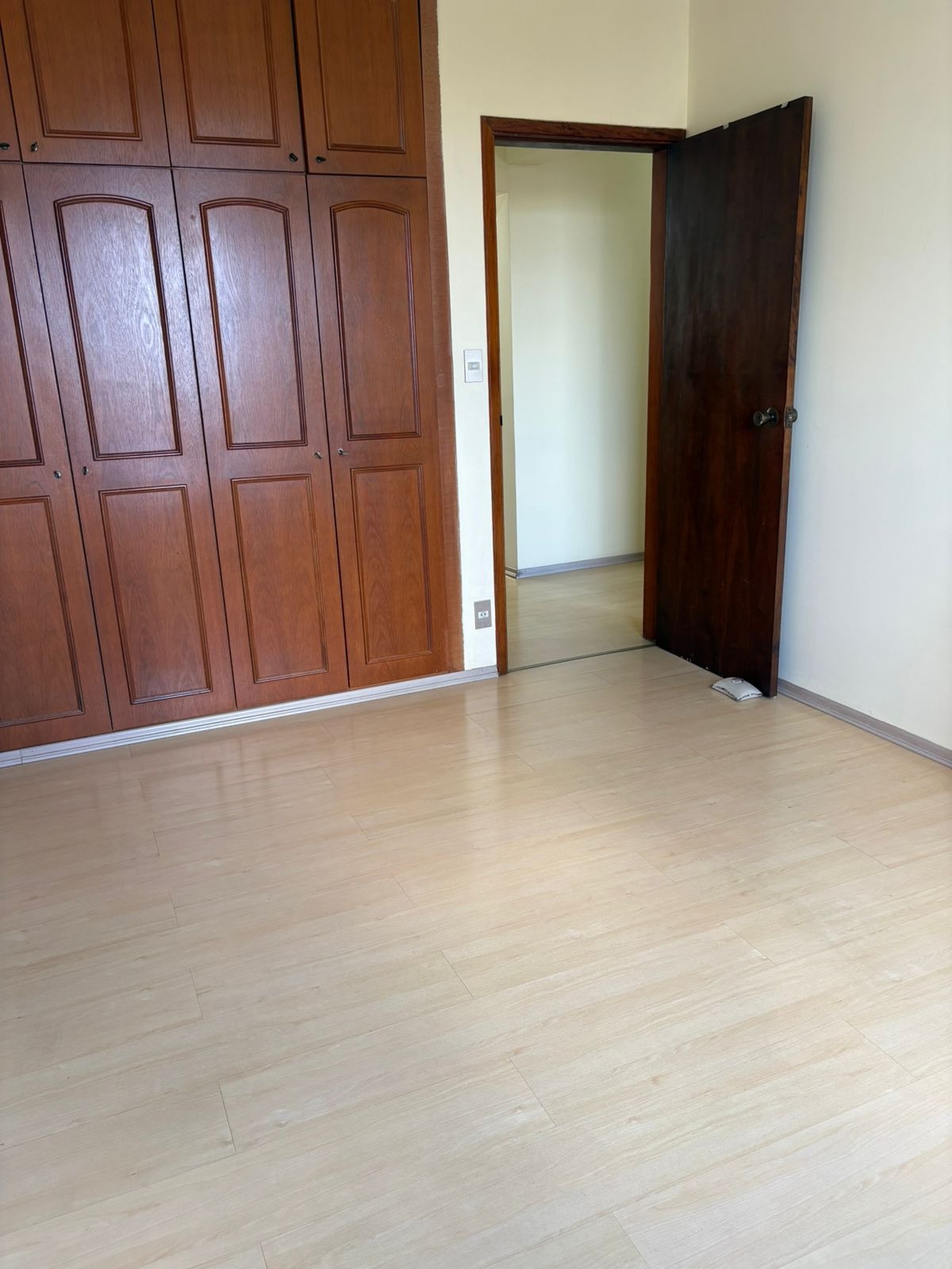 Apartamento, 3 quartos, 265 m² - Foto 15