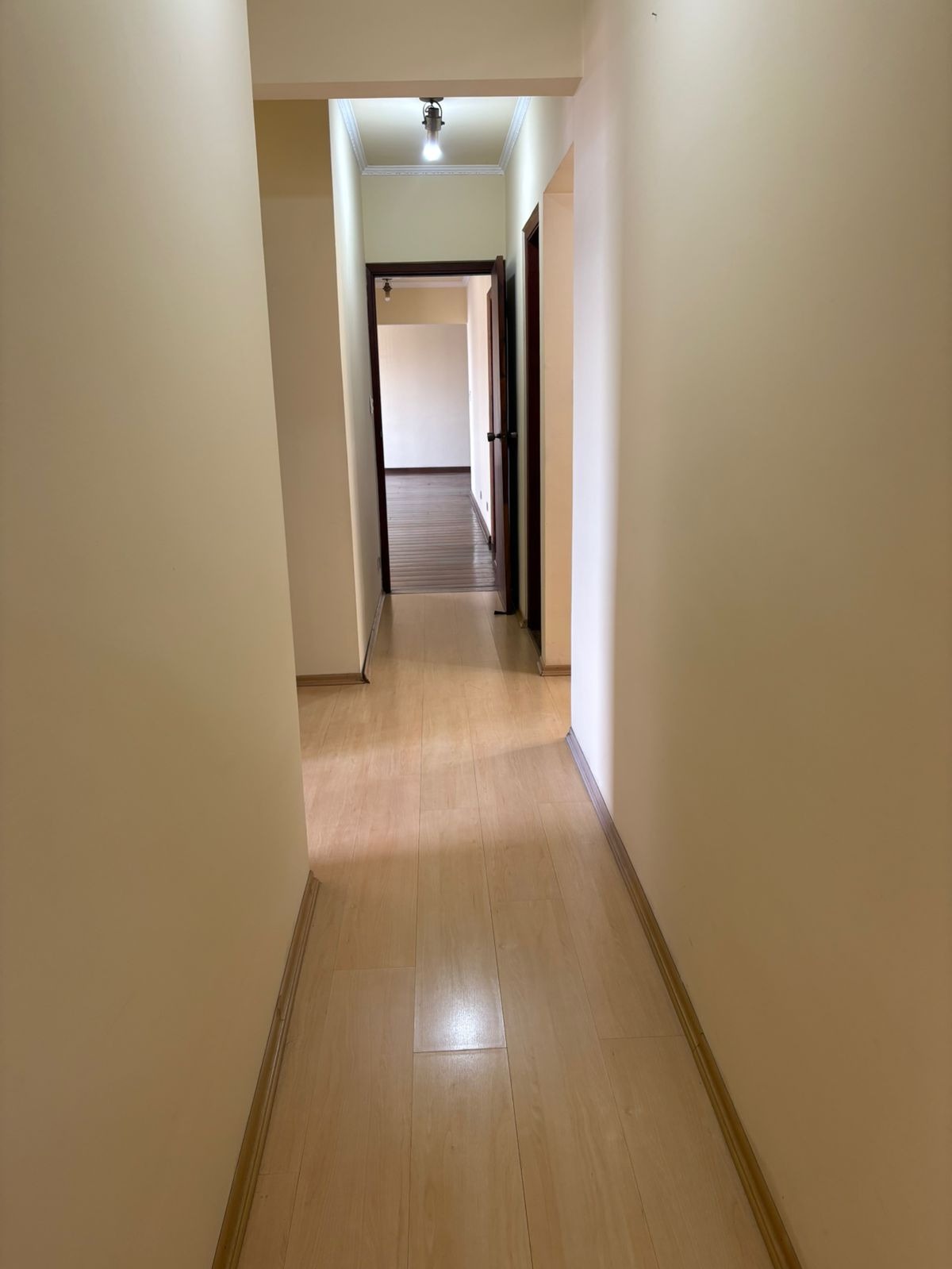 Apartamento, 3 quartos, 265 m² - Foto 14
