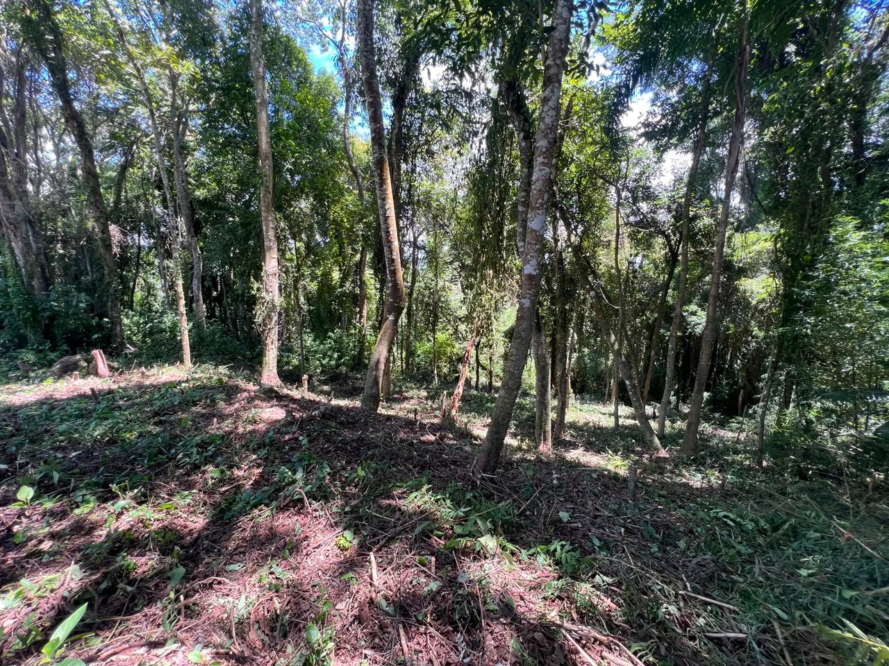 Terreno à 600mts da repressa de itupararanga no loteamento s