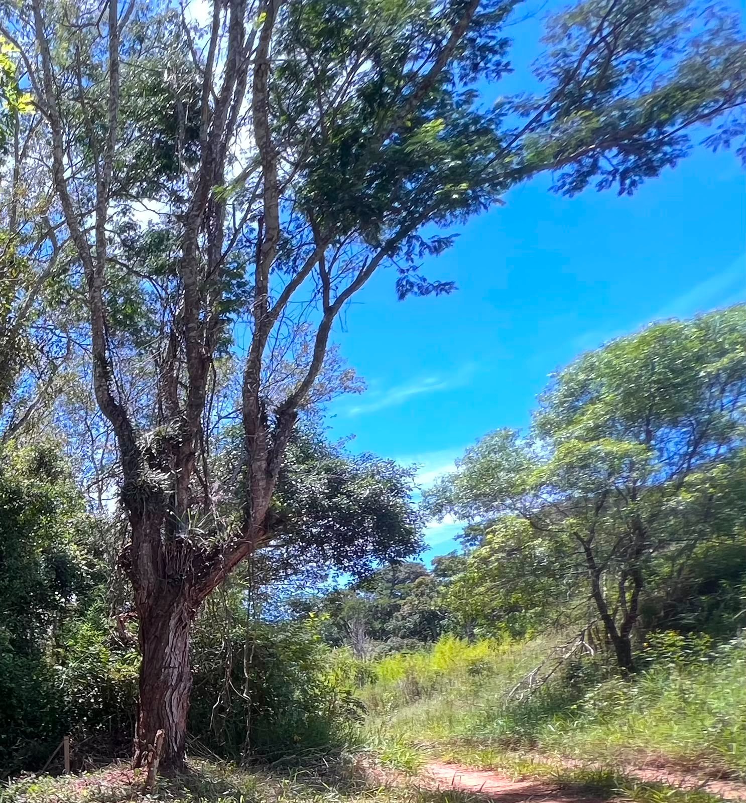 Terreno à 600mts da repressa de itupararanga no loteamento s