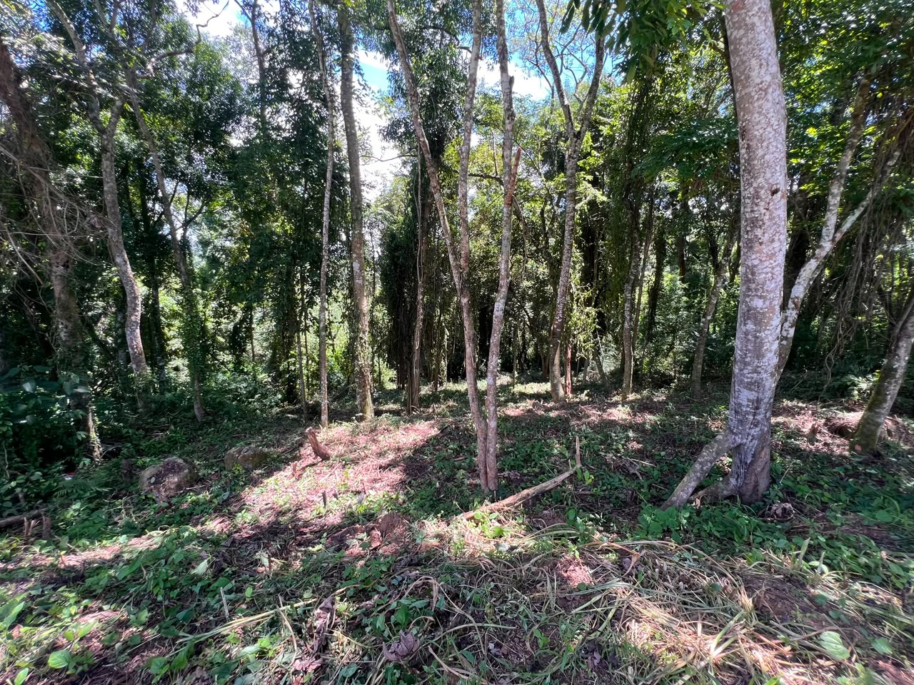 Terreno à 600mts da repressa de itupararanga no loteamento s