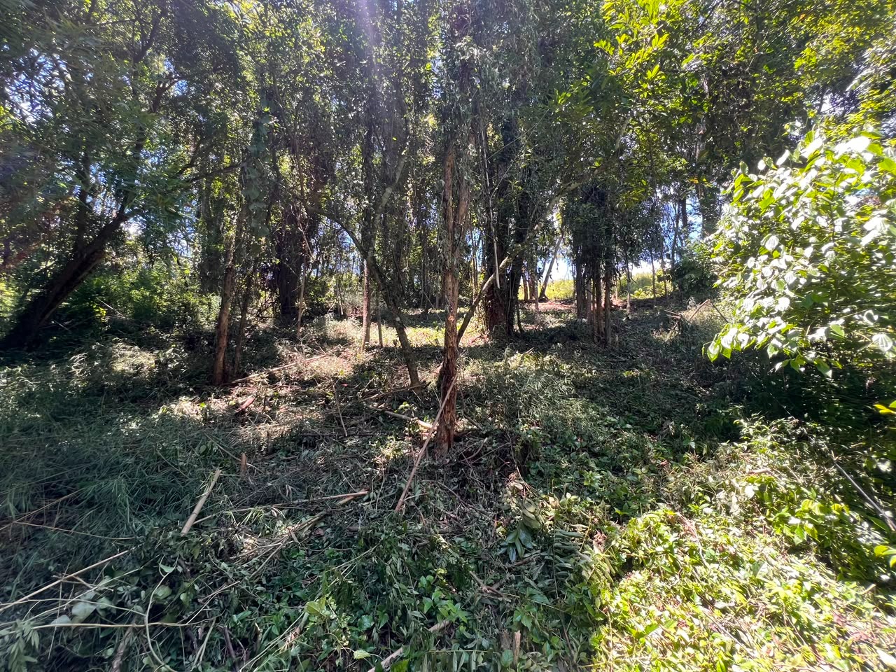 Terreno à 600mts da repressa de itupararanga no loteamento s