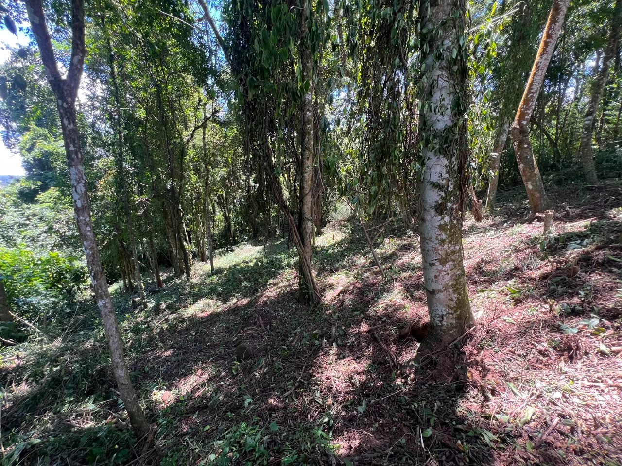 Terreno à 600mts da repressa de itupararanga no loteamento s